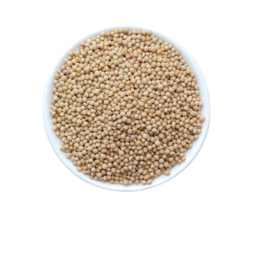 Mustard yellow 250 grams