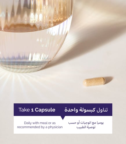 مركب الزنك والنحاس الخاص