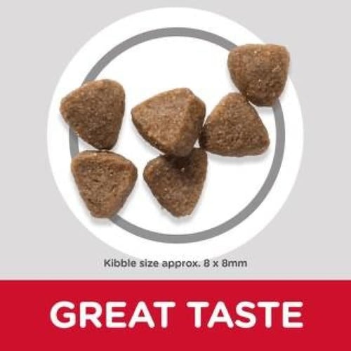 هيلز - اكل جاف للقطط الصغيرة بالدجاج