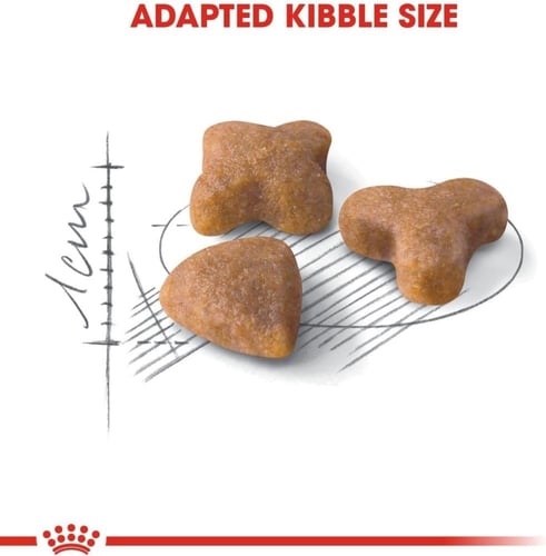 رويال كانين طعام جاف سنسيبل للقطط البالغة