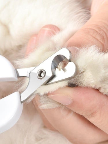 مقص أظافر القطط والكلاب برأس مسطح من الفولاذ المقا...