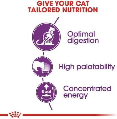 رويال كانين طعام جاف سنسيبل للقطط البالغة
