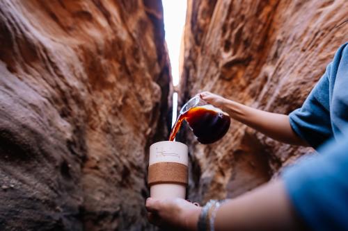 AlUla trip for two people ,one room 8 - 10 January 2026.