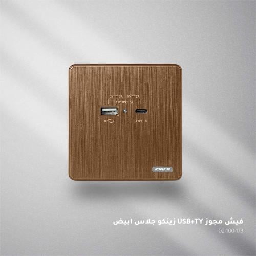 فيش USB و Type C مجوز بني