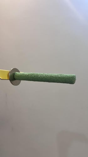 مجثم ومبرد رملي للطيور الصغيره