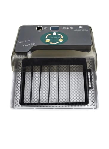 فقاسة 12 بيضة