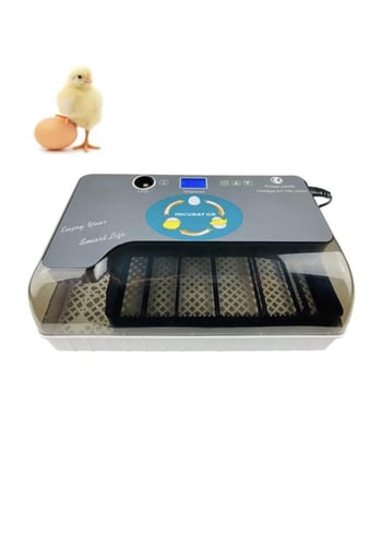 فقاسة 12 بيضة