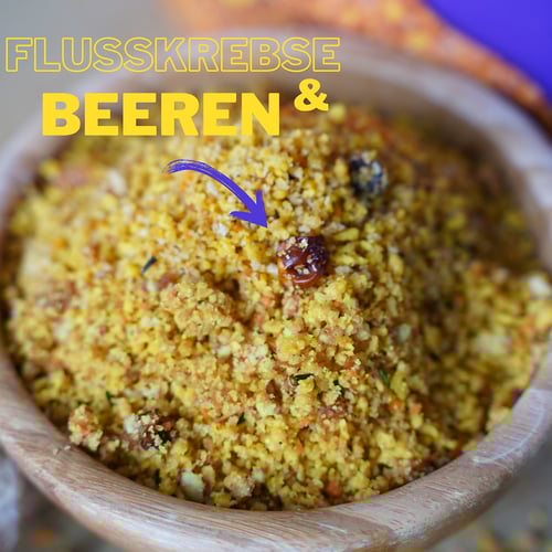 EGG food easy YOUR PARROT باتيه