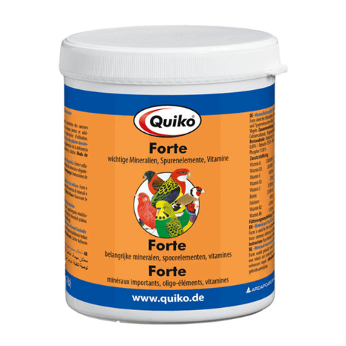 فورتي Forte - كويكو Quiko