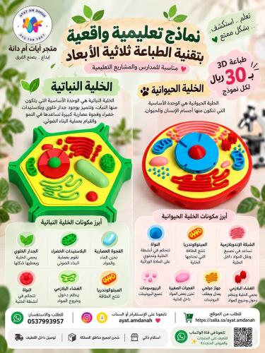 خلية نباتية وخلية حيوانية