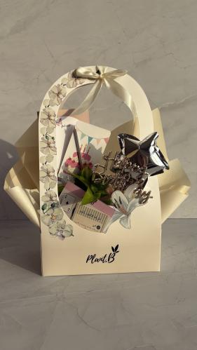 بكج بوتس نجمه ميلاد