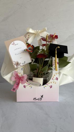 تخرج انترونيوم احمر