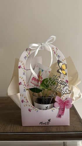 بوتس ذهبي ميلاد