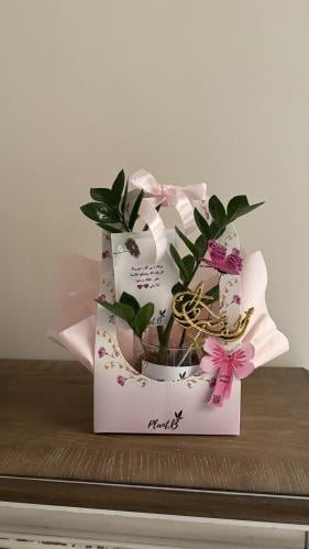 بكج الزاميا الف مبروك