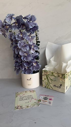 اوركيد حجم كبير