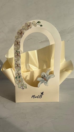 بكج بوتس نجمه ميلاد