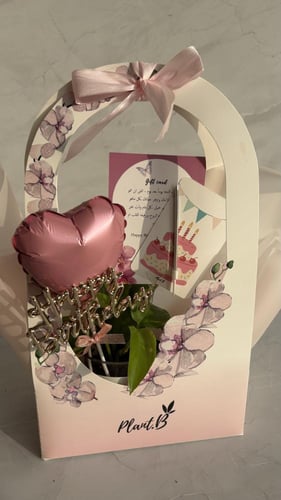 بيرثدي قلب بوتس