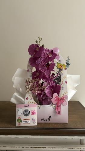 بكج اوركيد ميلاد