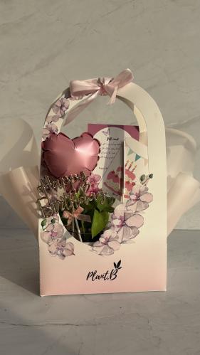 بيرثدي قلب بوتس