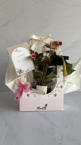 تخرج انترونيوم احمر