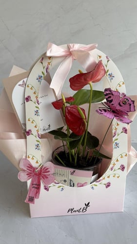 تخرج انترونيوم احمر