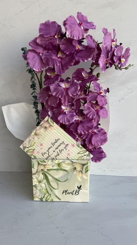 اوركيد حجم كبير