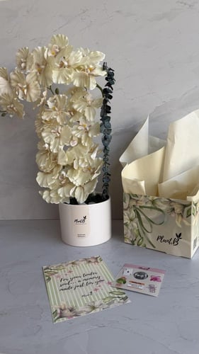 اوركيد حجم كبير