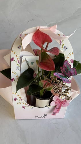 انترونيوم بينك ميلاد