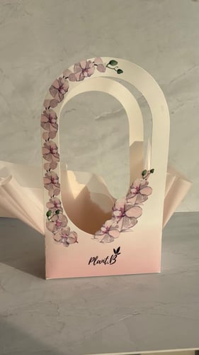 بكج بوتس ميلاد