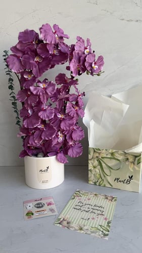 اوركيد حجم كبير