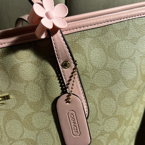 كوتش توت باق بينك