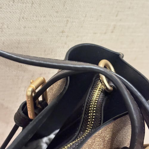 توت باق كوتش مولي بيج بني