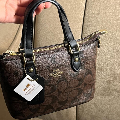 كوتش بني ميني