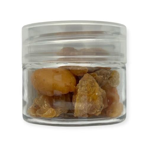 حلتيته يابسه