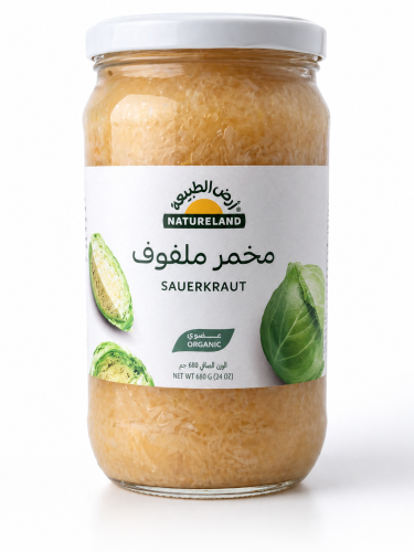 مخمر ملفوف