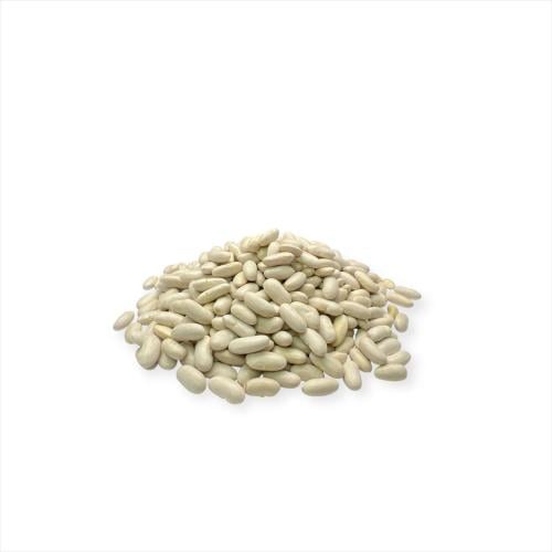 فصولياء بيض