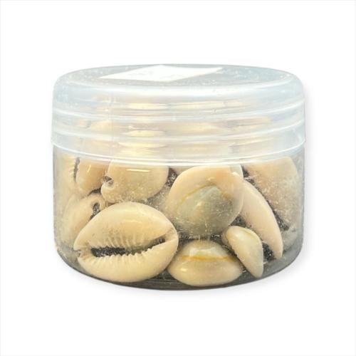 الودع المغربي حب 50ملي