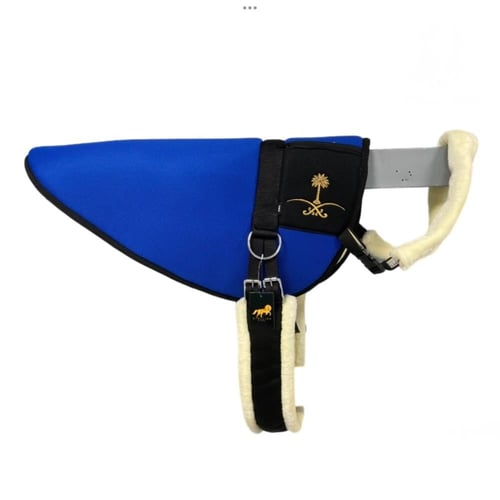 لبادة ركوب سيفين و نخلة