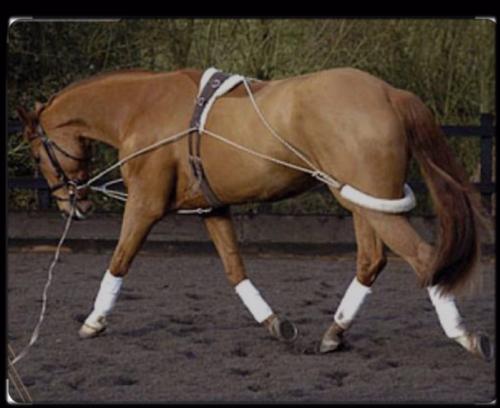 جهاز تجميع Training set