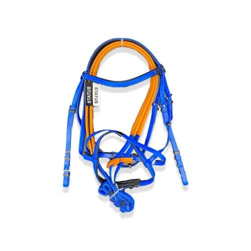 لجام ستيتوس status O rein