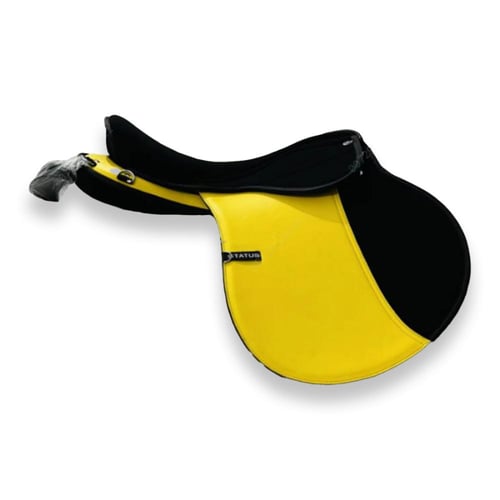 سرج ستيتوس status