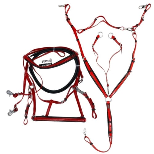 لجام و صدرية تحمل ستيتوس status