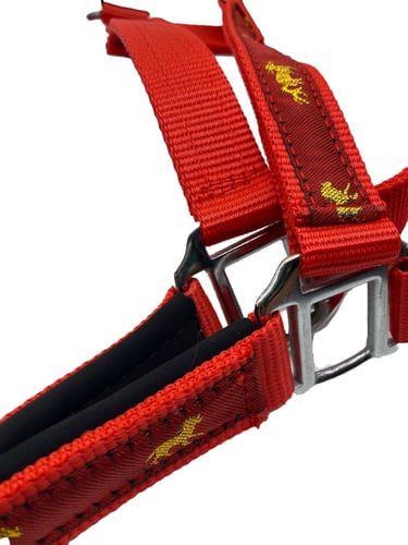 رشمة خيل RIBBON