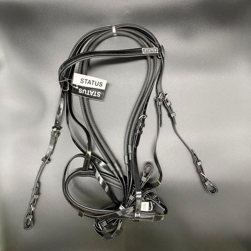 لجام ستيتوس status