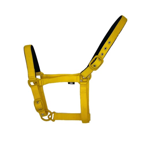 رشمة خيل NEOBUCK