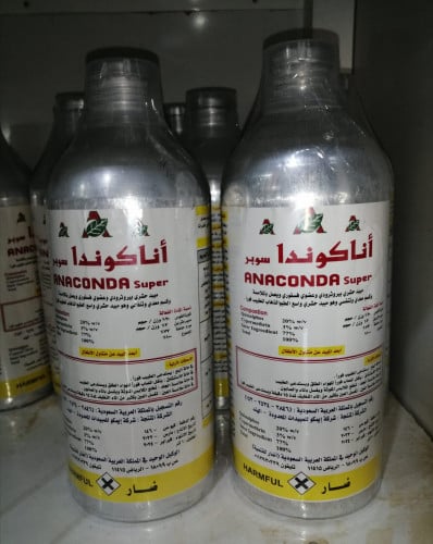 اناكوندا