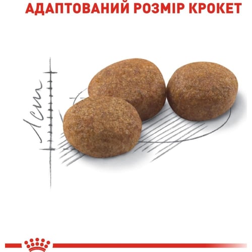 رويال كانين ستيرليزد 37 اكل جاف للقطط المعقمة (من...