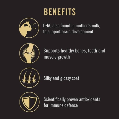 بورينا بروبلان اكل جاف للقطط الصغيرة بالدجاج - 400...