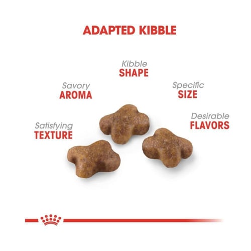 رويال كانين دراي فود قطط صغيرة (4 أشهر إلى سنة) -...