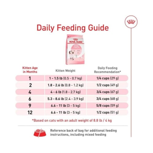رويال كانين دراي فود قطط صغيرة (4 أشهر إلى سنة) -...